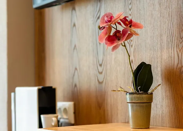 公寓 Cozy Rhodes City